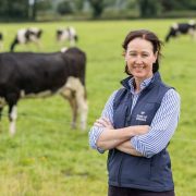 Bank of Ireland representative pictured on an Irish dairy farm with cattle grazing in the background.