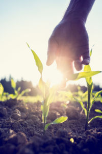 inheriting a farm in Ireland