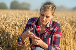 inheriting a farm in ireland