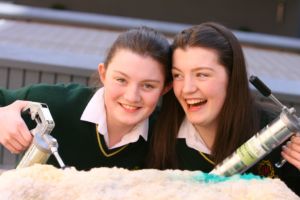 teenage twins irish